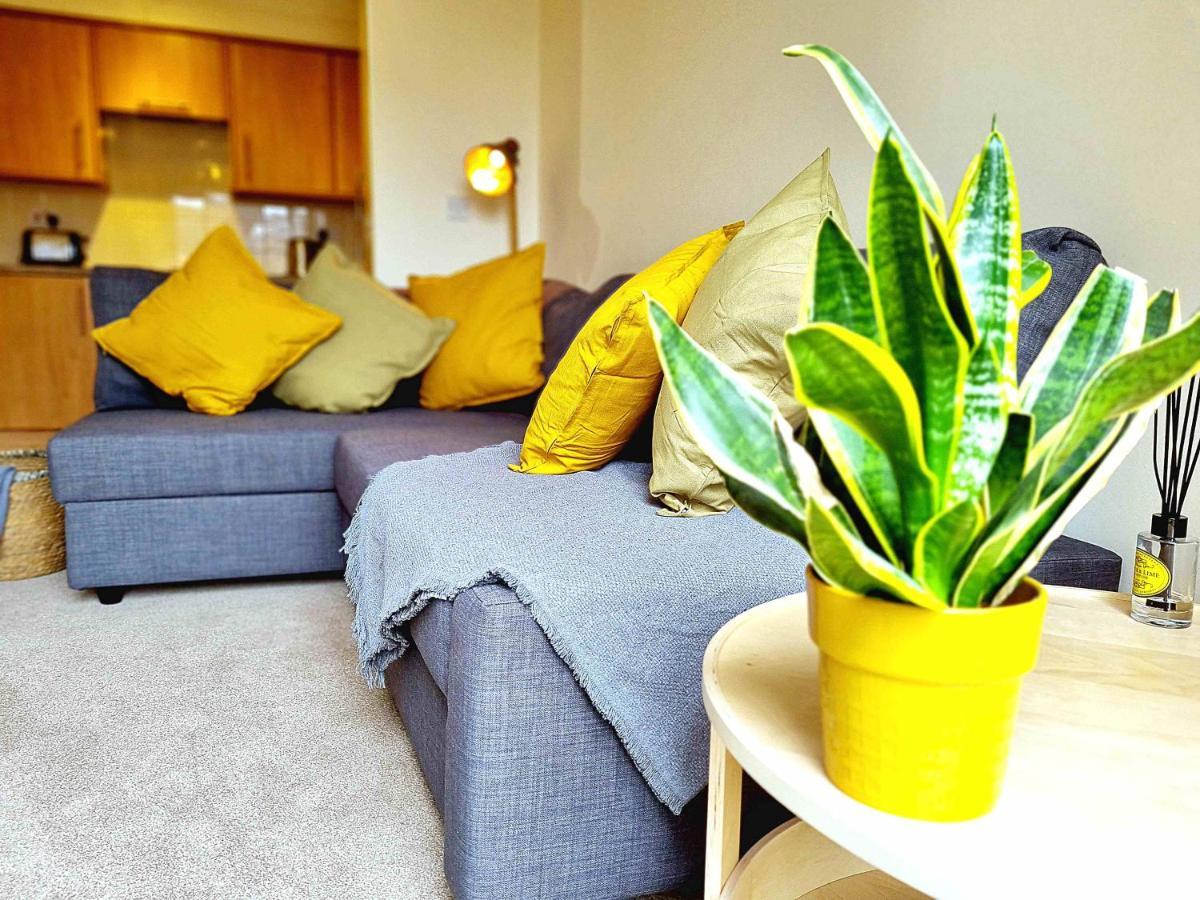 Cityscape Haven: 1 Bedroom Apartment With Terrace And City View Борнмут Экстерьер фото
